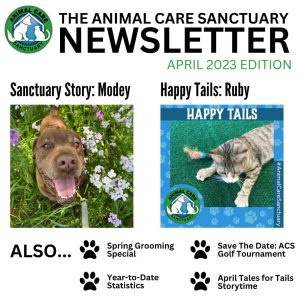 Animal Care Sanctuary - April 2023 Newsletter.jpg